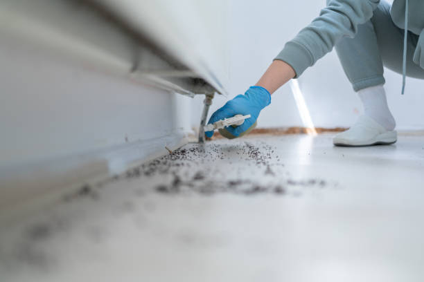 Pest Prevention Services in Connell, WA